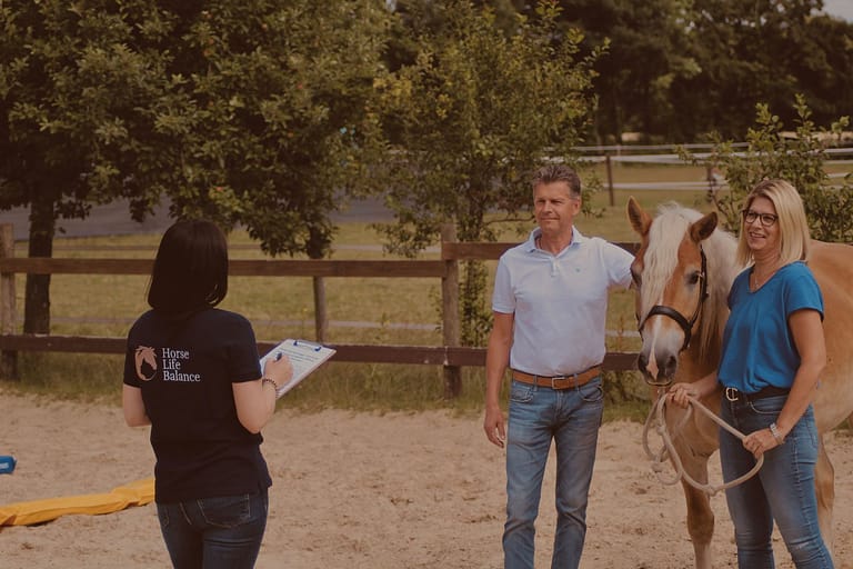 Reflektion Führungskräfte Coaching mit Pferd